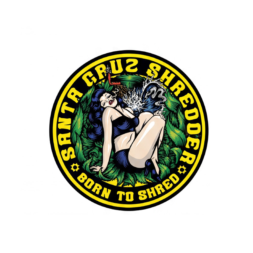 Stickers (individual) - Santa Cruz Shredder Retail